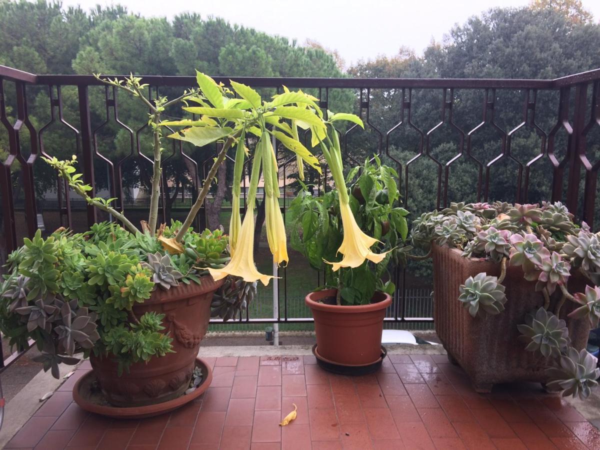 B&B Pergolesi Verona Bagian luar foto