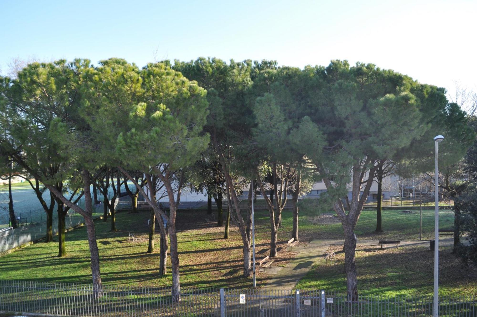 B&B Pergolesi Verona Bagian luar foto