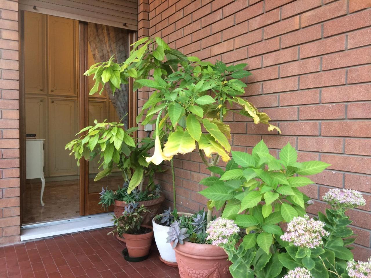 B&B Pergolesi Verona Bagian luar foto